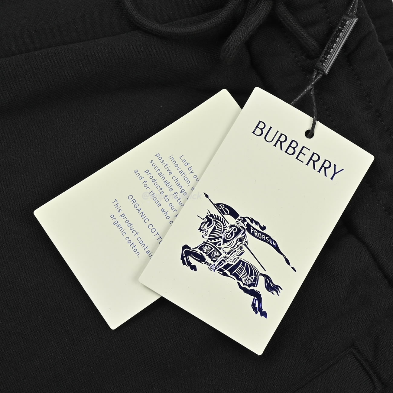 Burberry 24ss Rope Embroidered Knight Warrior Horse Small Label Colored Shorts (7) - newkick.app